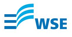 Logo der WSE